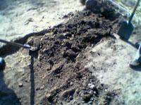 wykopaliska chwarszczańskie 2004 - 9