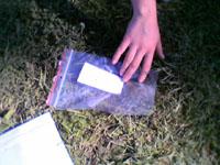 wykopaliska chwarszczańskie 2004 - 26