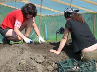 wykopaliska chwarszczańskie 2004 - 14