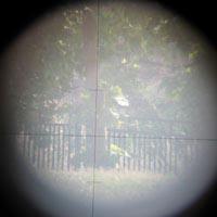 wykopaliska chwarszczańskie 2004 - 5