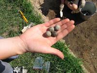 wykopaliska chwarszczańskie 2004 - 31